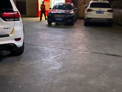 -李子坝梁山鸡(李子坝大鸡哥店)