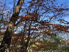 -五女山景区