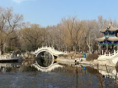 -桃花堤公园