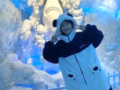-海合安成都极地海洋公园