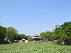 -莲池书院博物馆