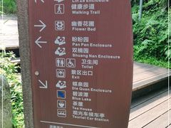 -都江堰中华大熊猫苑