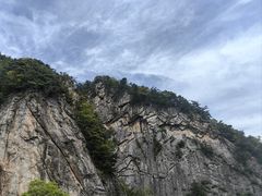 -王顺山国家森林公园