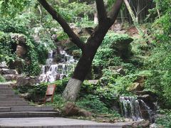 -石老人观光园