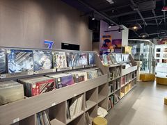 -浣熊唱片店(上海影城店)