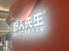 -野人先生现做冰淇淋(北京王府井东方新天地店)