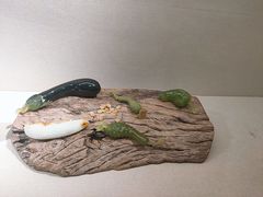 -大连自然博物馆
