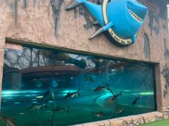 -天山海世界·米立方