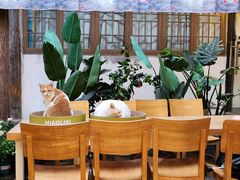-猫的天空之城概念书店(苏州平江店)