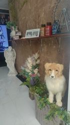 点击看大图 -拾光年华摄影馆(菱角湖公园店)