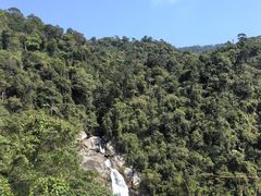 -海南热带雨林国家公园吊罗山景区
