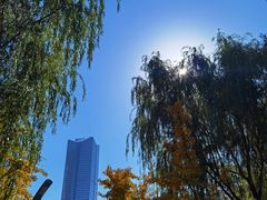 -天鹅湖体育公园