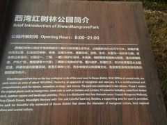 -宝安西湾红树林湿地公园