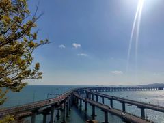 -星海湾跨海大桥