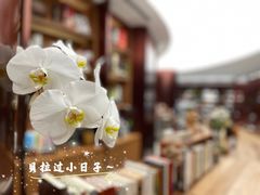 -二酉书店TOYOU BOOKS