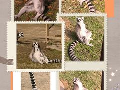 -杭州野生动物世界