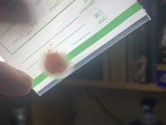 -爱侣宠医·鹦鹉专科·小型哺乳类·异宠专科(灵石路店)