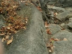 -吉林市朱雀山国家森林公园