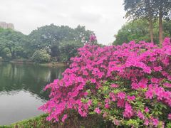 -晓港公园