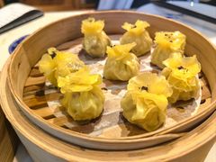 -点都德·毕德寮