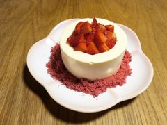 -柴务处·柴犬主题狗咖