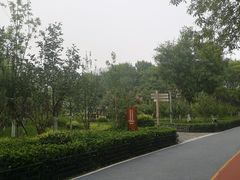 -大兴滨河森林公园