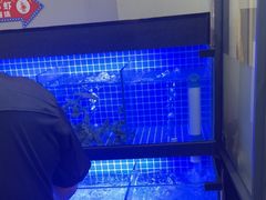 -老鄞江清水龙虾•赵赵家(江北店)