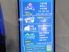 -泉城欧乐堡海洋极地世界