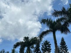 -艺厨风尚餐厅 · 桔钓沙莱华度假酒店
