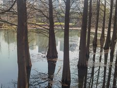 -昆山城市生态森林公园