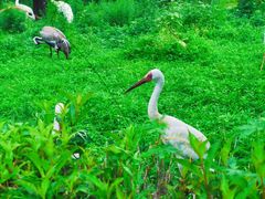 -沈阳森林动物园