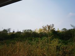 -桤木河湿地公园