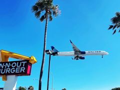 -In-N-Out Burger(LAX)