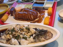 -正阳春烤鸭(华捷道店)