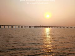 -宝安西湾红树林湿地公园