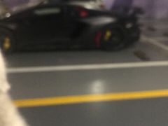 -深圳湾木棉花酒店