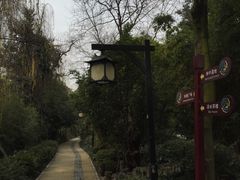 -成都市活水公园