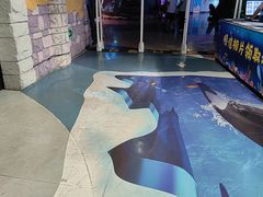 -烟台海昌鲸鲨海洋公园