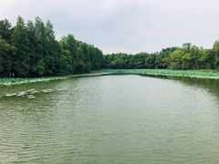 -东湖落雁景区