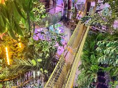 -正佳雨林生态植物园