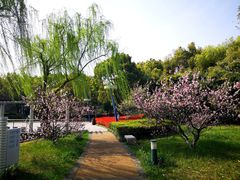 -中央公园(苏州工业园区)