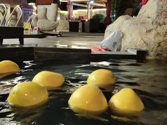 -裕龙汤泉