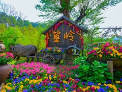-婺源风景区