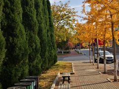 -大连外国语大学(旅顺校区)