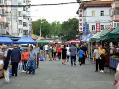 -哈尔滨道外花鸟鱼市场