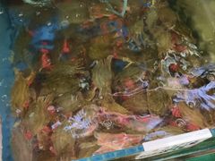 -前王院•巧克力海鲜市集餐厅(万平口店)