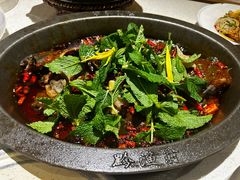 -黔渔翁豆花渎鱼(喷水池店)