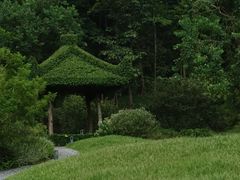 -云溪植物园