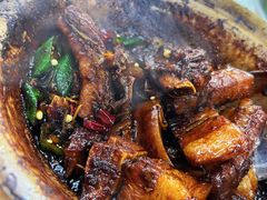 -新峰肉骨茶