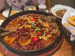 -老板恋上鱼(印象城店)